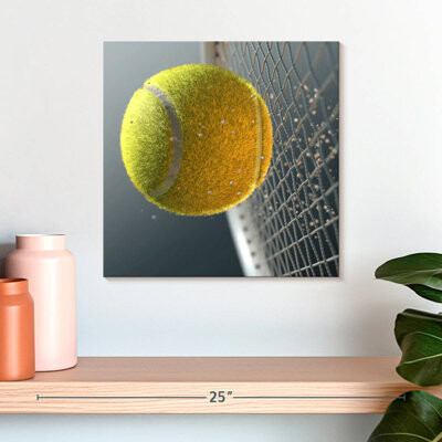 Ebern Designs Sireci Tennis Net Ball