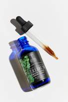 Thumbnail for your product : anima Mundi Cerebrum Brain Tonic Herbal Supplement