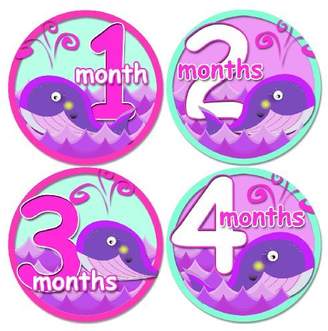 GIRL BABY WHALES PURPLE PINK GREEN Baby Month Onesie Stickers Baby Shower Gift Photo Shower Stickers, baby shower gift by OnesieStickers