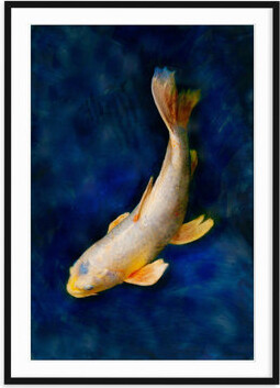 Robin Riley Photography Butterfly Koi - Picture Frame Photograph on Paper