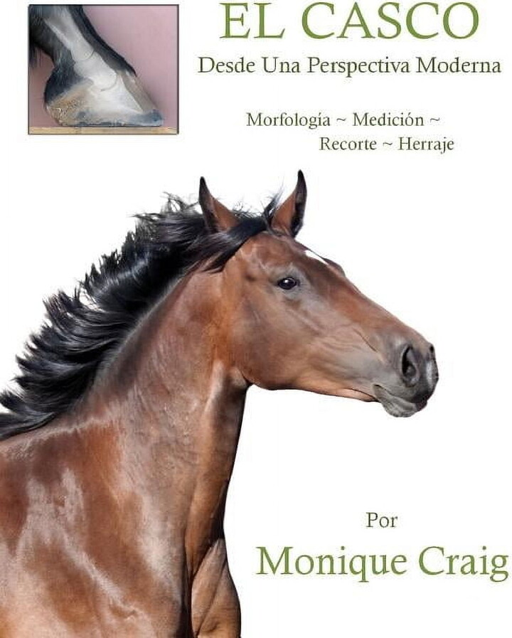 EL CASCO...Desde Una Perspectiva Moderna, (Paperback)