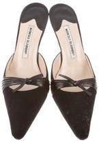 Thumbnail for your product : Manolo Blahnik Suede Pointed-Toe Mules