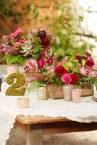 Thumbnail for your product : BHLDN Woodland Box Planters