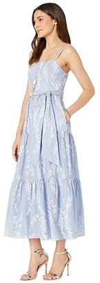 lilly pulitzer aviana maxi dress