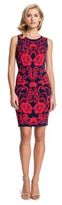 Thumbnail for your product : Cynthia Steffe Briella Print Dress