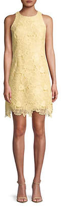 Eliza J Embroidered Lace Sleeveless Shift Dress