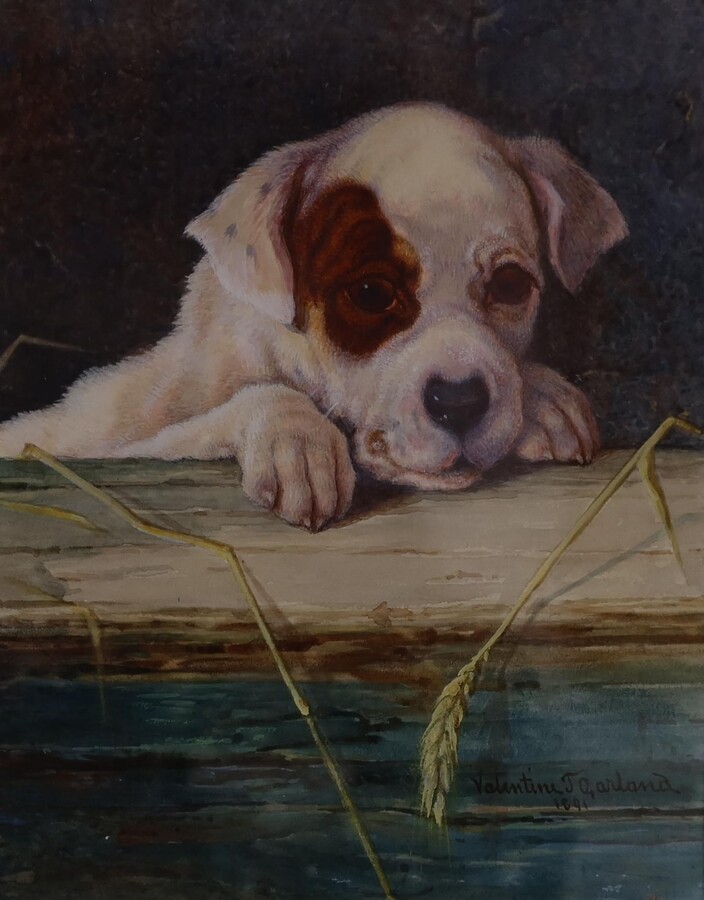 Valentine Thomas Garland, Inquisitive, circa 1870