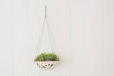 Thumbnail for your product : Structural Hanging Planter
