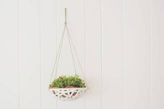 Structural Hanging Planter