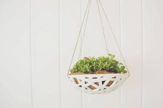 Structural Hanging Planter