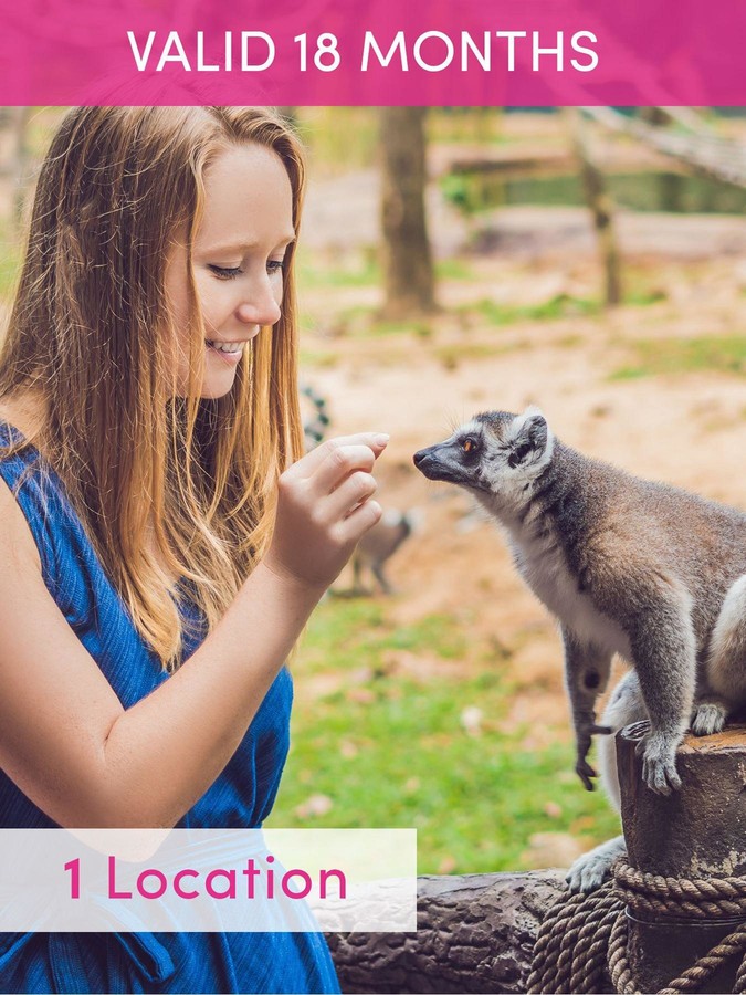 Activity Superstore Meet The Meerkats, Servals And Lemurs At Hoo Farm