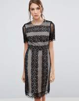 Thumbnail for your product : Oasis Stripe Lace Dress