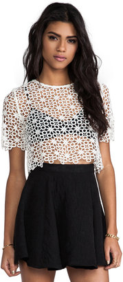 Alexis Lisette Crop Lace Top With Cap Sleeves