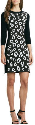 Phoebe Animal-Print Raglan-Sleeve Knit Dress