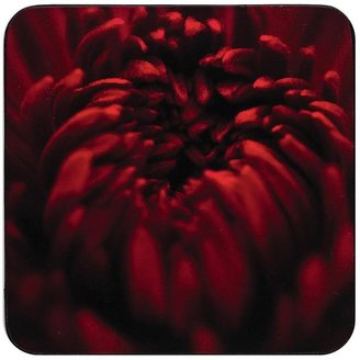 Denby Ruby Flower Coasters (Set of 4)