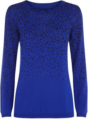 House of Fraser Planet Leopard print sweater