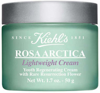 Kiehl's Rosa Arctica Lightweight Cream --