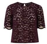 Dorothy Perkins Womens Plum Scallop Lace Sleeve Top- Purple