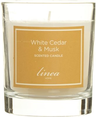 Linea White cedar & musk single candle