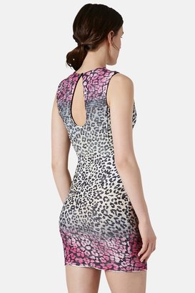 Topshop Leopard Print Textured Metallic Cutout Dress