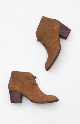 J. Jill Suede stacked-heel lace-up booties