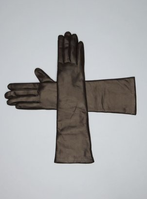 Portolano Cashmere Lined Long Leather Gloves