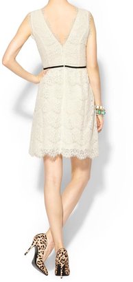 Ark & Co Roma Lace Dress