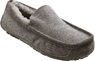 UGG Ascot Wool Slipper/Shoe