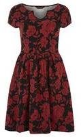 Dorothy Perkins Womens Tall Deco Printed Notch Neck Dress- Red