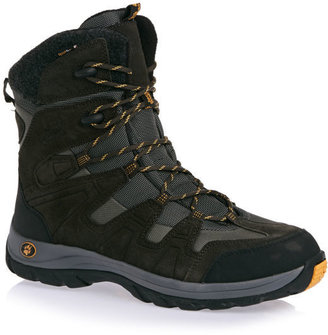 Jack Wolfskin Women's Icy Park Texapore Boots