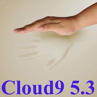 5.3 Cloud9 Cal-King 1.25 Inch 100% Visco Elastic Memory Foam Mattress Topper
