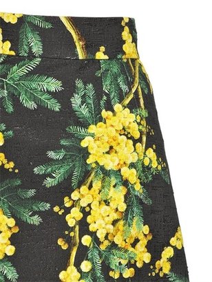 Dolce & Gabbana Mimosa Printed Cotton Brocade Skirt