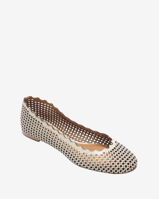 Chloé Scalloped Edge Perforated Ballet Flat: Grey