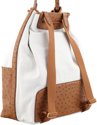 The Row Bicolor Canvas and Ostrich Backpack