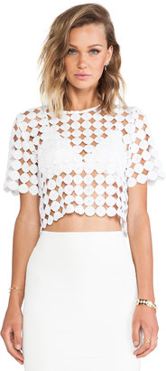 Alexis Lisette Crop Lace Top With Cap Sleeves