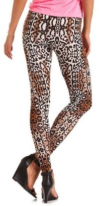 Charlotte Russe Leopard Print Cotton Legging