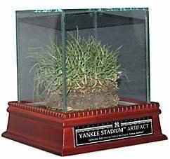 Steiner Sports Freeze-Dried Grass from the Original Yankee Stadium