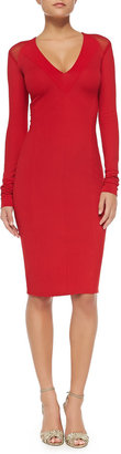 Donna Karan Long-Sleeve V-Neck Fitted Dress