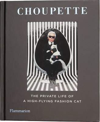 Rizzoli Choupette: The Private Life of a High-Flying Fashion Cat