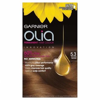 Garnier Olia Permanent Hair Colour 5.3 Golden Brown 1 pack
