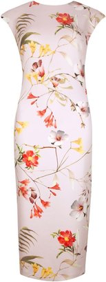 Ted Baker Masi botanical bloom print dress