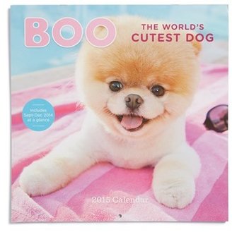 Chronicle Books 'Boo: The World's Cutest Dog' 2015 Wall Calendar