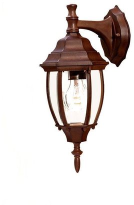 Wexford Acclaim Lighting Collection Wall-Mount 1-Light Outdoor Burled Walnut Light Fixture