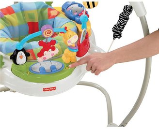 Fisher-Price Discover 'n Grow Jumperoo
