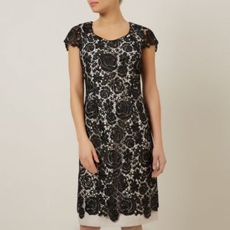 Jacques Vert Luxury Lace Layer Dress
