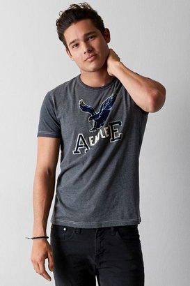 American Eagle Outfitters Grey Vintage Applique Graphic T-Shirt