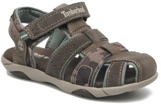Timberland Kids's Earthkeepers Centerville Velcro Sandals in Grey