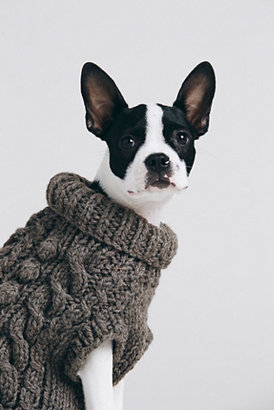 Free People Ware of the Dog Cable Knit Turtleneck