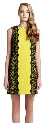 Cynthia Steffe Sleeveless Dress with Lace Accents