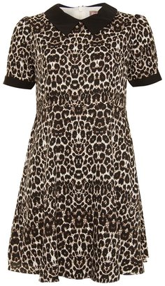 A/Wear Leopard Print Contrast Collar Dress